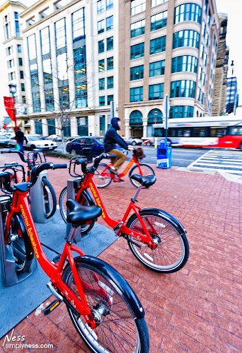_MG_1451-Edit _MG_1451-Edit