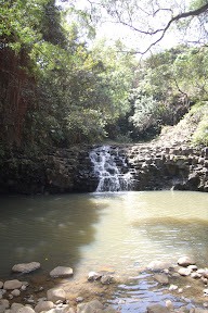 DSC_0685.jpg