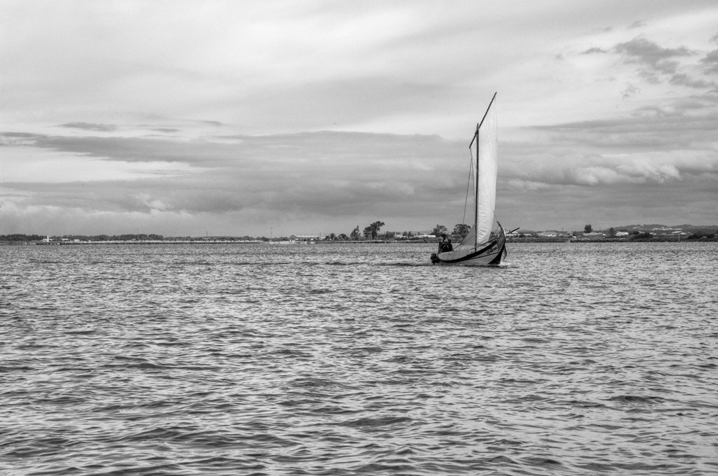 [AMC_1567bw%255B5%255D.jpg]