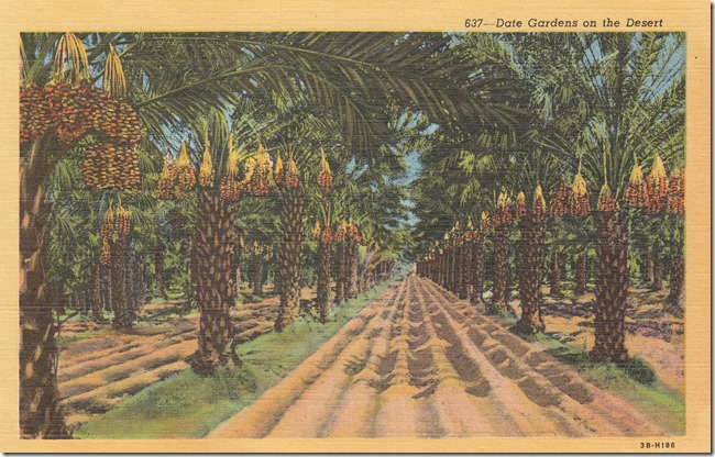 Date Gardens on the Desert Pg. 1 - 1943