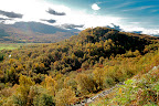 Scottish Autum