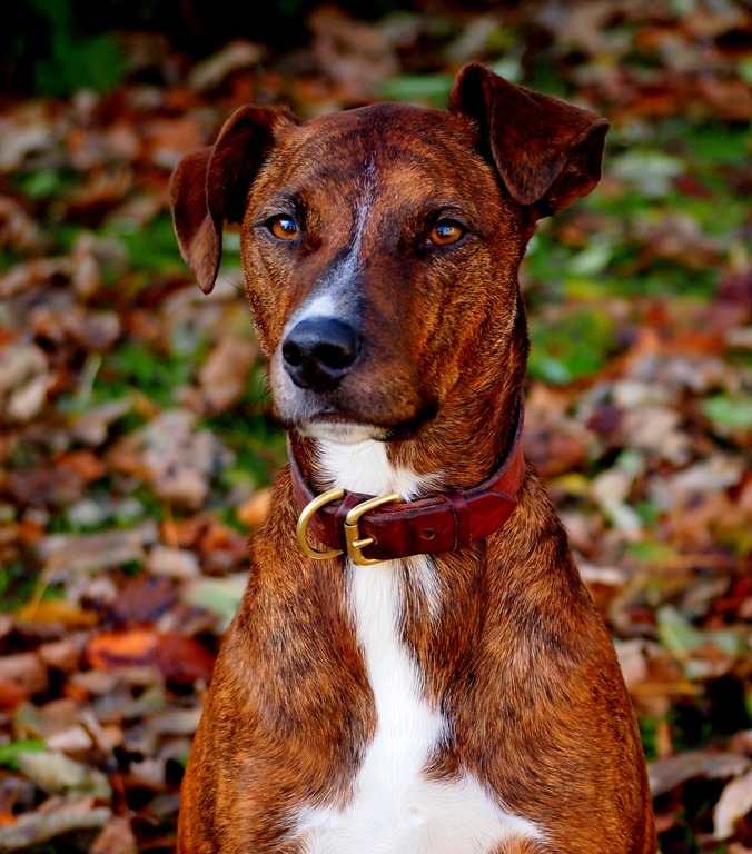 [24%2520Dec%25205%255B3%255D.jpg]