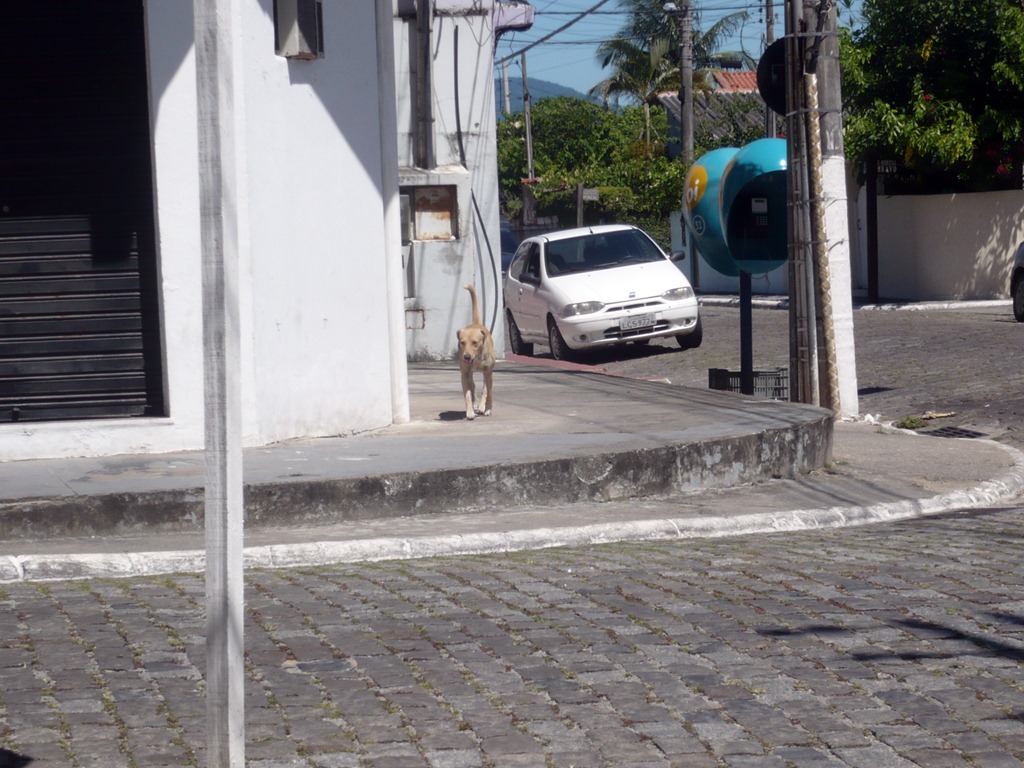 [P1040154%255B6%255D.jpg]