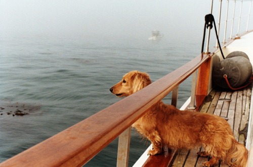 [tumblr_m54ak6cSxW1qa2txho1_500%255B5%255D.jpg]