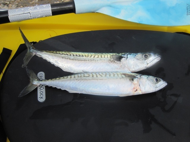 [IMG_0592%255B4%255D.jpg]