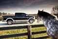 2013-Ram-1500-39 2013-Ram-1500-39
