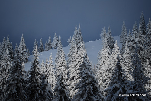 DSC_2186.jpg