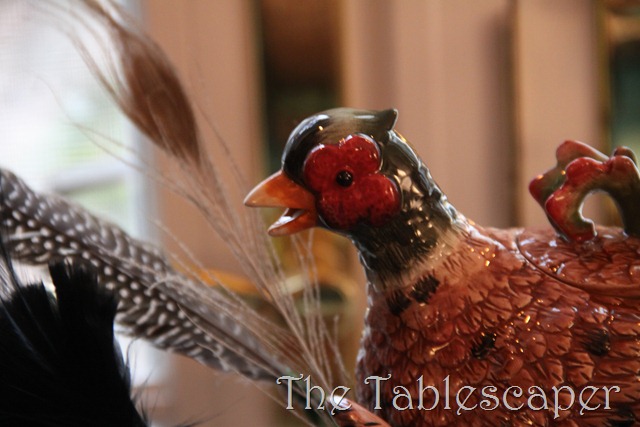 [Pheasant-Fullness-0403.jpg]
