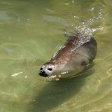 ZOO