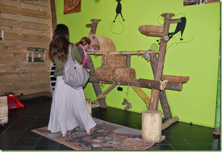DSC_0025 DSC_0025