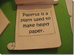 IMG_8615 IMG_8615