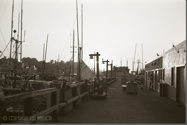 Fishermans Wharf Sundown 82 6