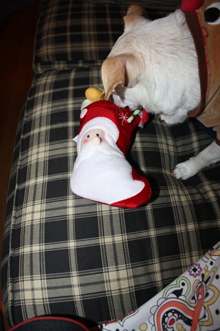 [IMG_8755%255B2%255D.jpg]
