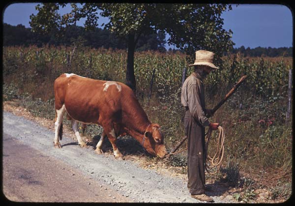 Loudoun Commuter.jpeg