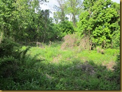 IMG_5895 IMG_5895