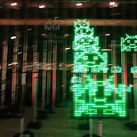 green invaders in Toronto, Ontario, Canada