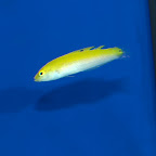 DSC_2176.jpg