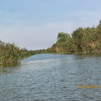 IMG_7961.JPG
