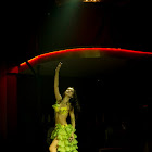 Document Name_3_236.JPG