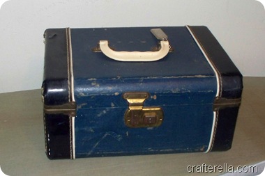 blue case blue case