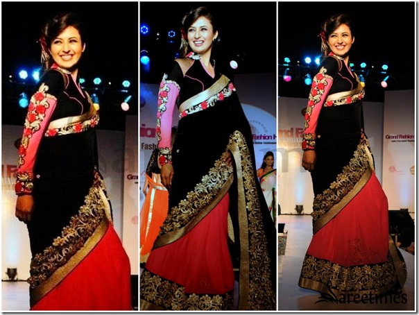 Parineeti_Chopra_Dual_Saree Parineeti_Chopra_Dual_Saree
