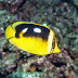 P6168395
