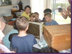 bee trip 007 bee trip 007