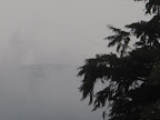 View from Victoria Park