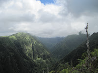 Waihee gorge.