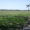 "Odrzanka" dsc06370.jpg