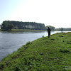dsc05255.jpg