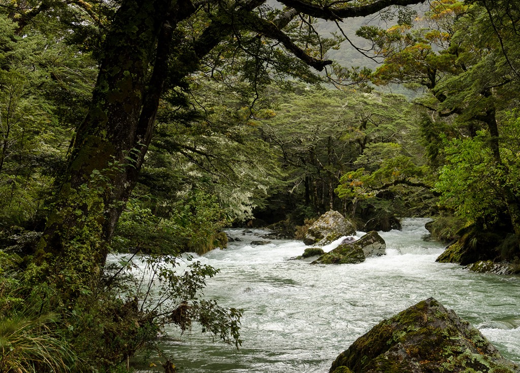 [Routeburn-833.jpg]