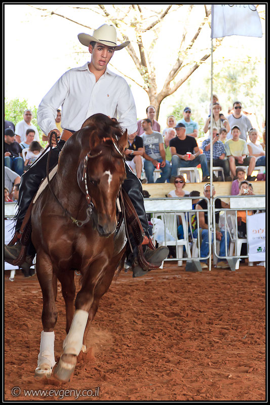 il/Фото: Stallion Show 2011 (20110416 stllion show 061 2233)