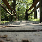 IMG_1755.JPG