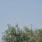 DSCN0265.JPG