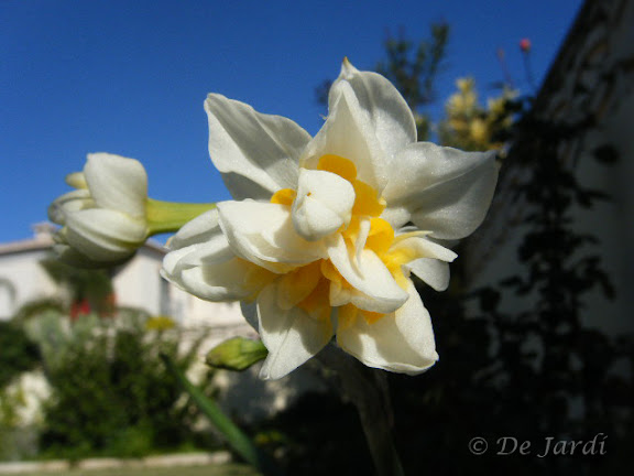 2012_12090009.jpg