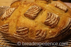 sourdough-bread051