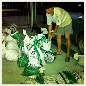พ่อพู่กันเตรียมตัวรับภัยน้ำท่วมใหญ่