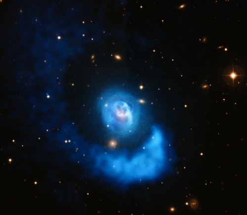 Chandra abell2052 copy