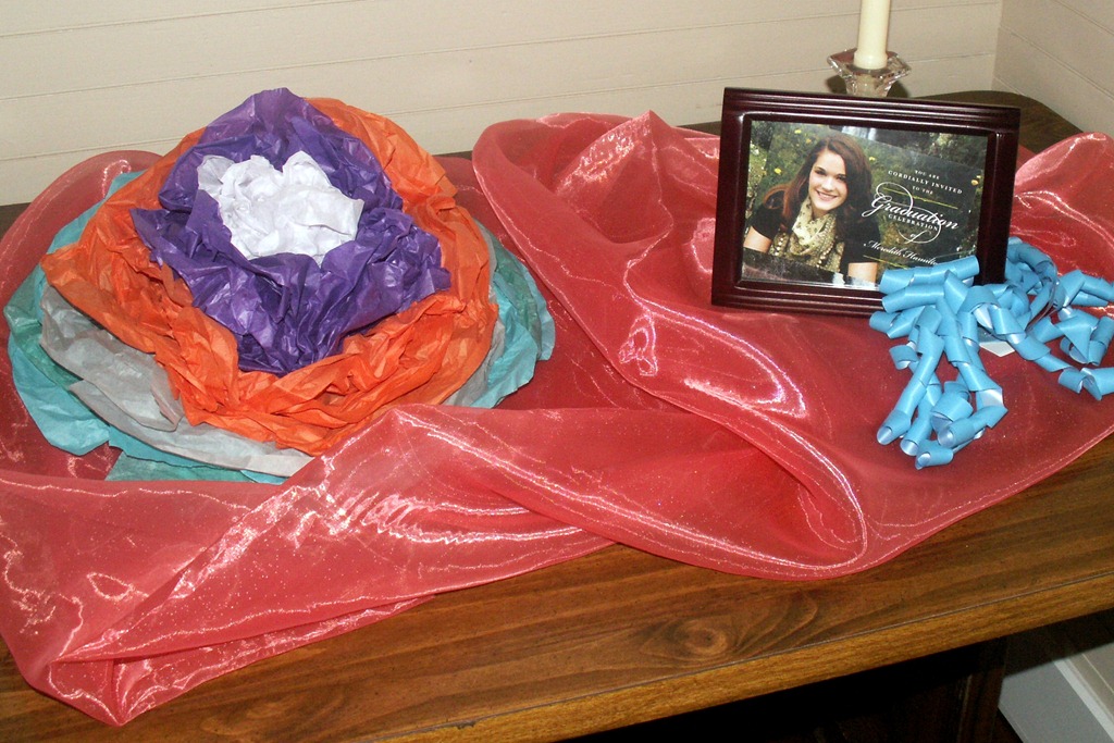 [Meredith%2527s%2520High%2520School%2520Graduation_0001%255B5%255D.jpg]