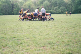 395065-R1-033-15_015 (2).jpg