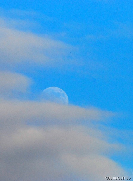 7. MOON-kab 7. MOON-kab