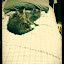 cats_reneseme_2011_06_10_12.jpg