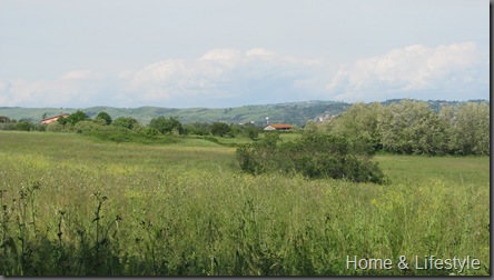 Home & Lifestyle Home & Lifestyle
