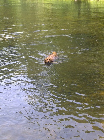 [IMG-20110719-00335%255B3%255D.jpg]