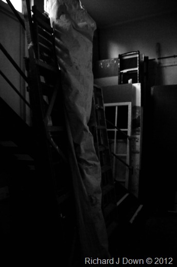 DSC_0636_web_mono DSC_0636_web_mono