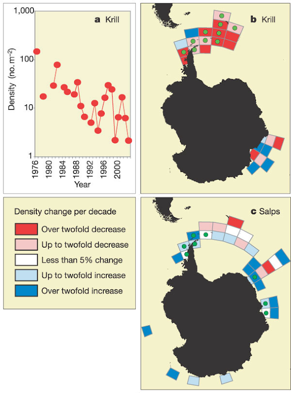 Temporal Change of Krill and Salps in the Southern Ocean, 1926-2003. a, Krill density in the SW Atlantic sector (4,948 stations in years with >50 stations). Temporal trends include b, post-1976 krill data from scientific trawls; c, 1926&ndash;2003 circumpolar salp data south of the SB.  Atkinson, et al., 2004
