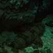 img_024.jpg