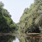DSCN8361.JPG