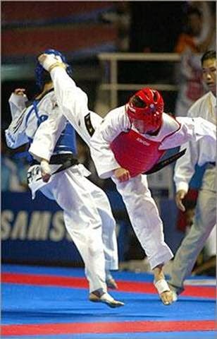 [taekwondo5.jpg]